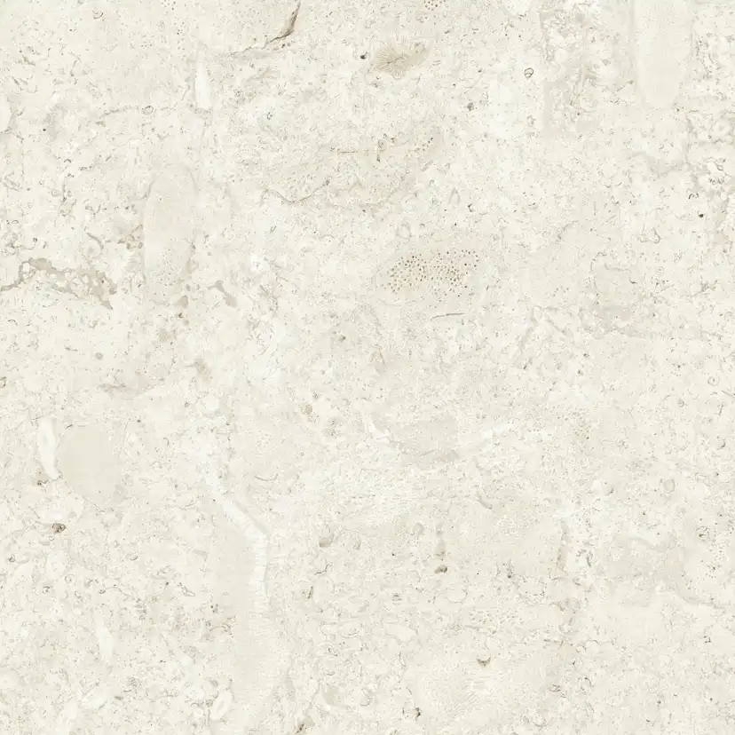 Klinker Tenfors Coralina Bone Matt 60x60 cm