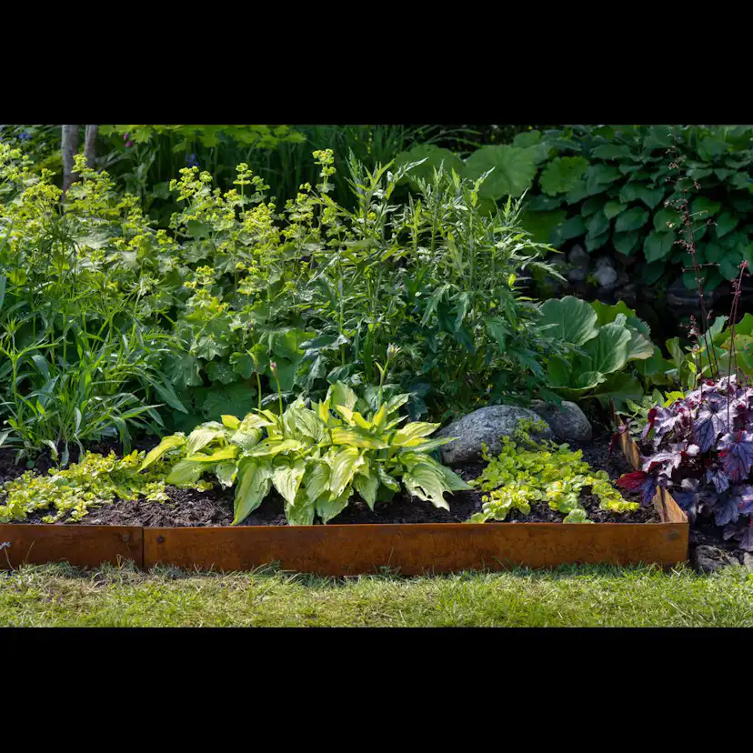 Rabattkant Skotte Garden Corten Odlingskant 4-pack, Rostfärg, 18x100 cm