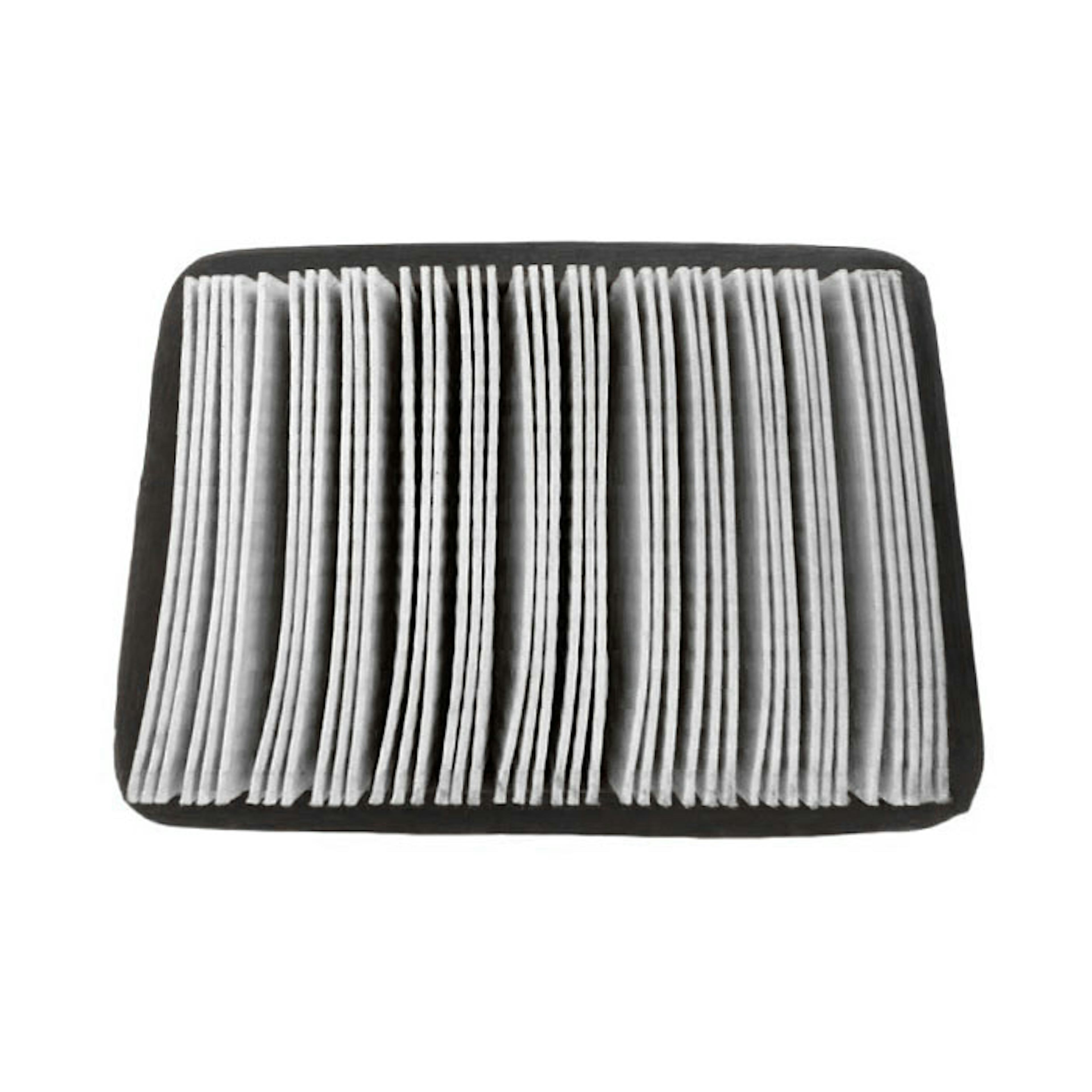 Luftfilter Champion Generators för 73001i-Serien