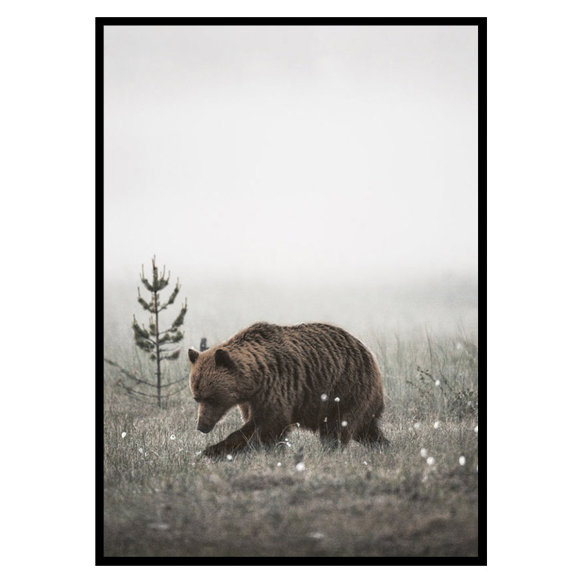 Poster Gallerix Winter Bear