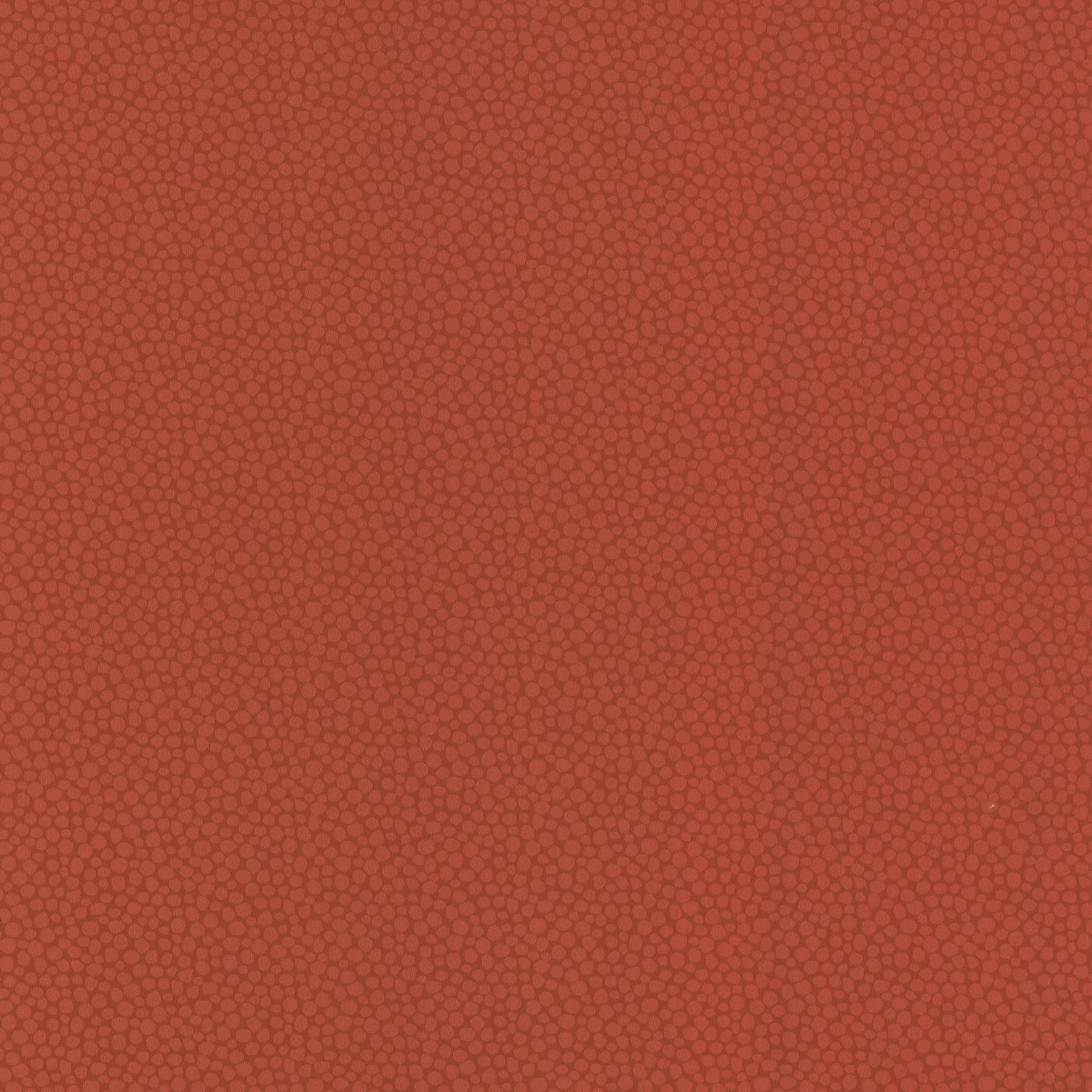 Tapet Decor Maison OAS 2727