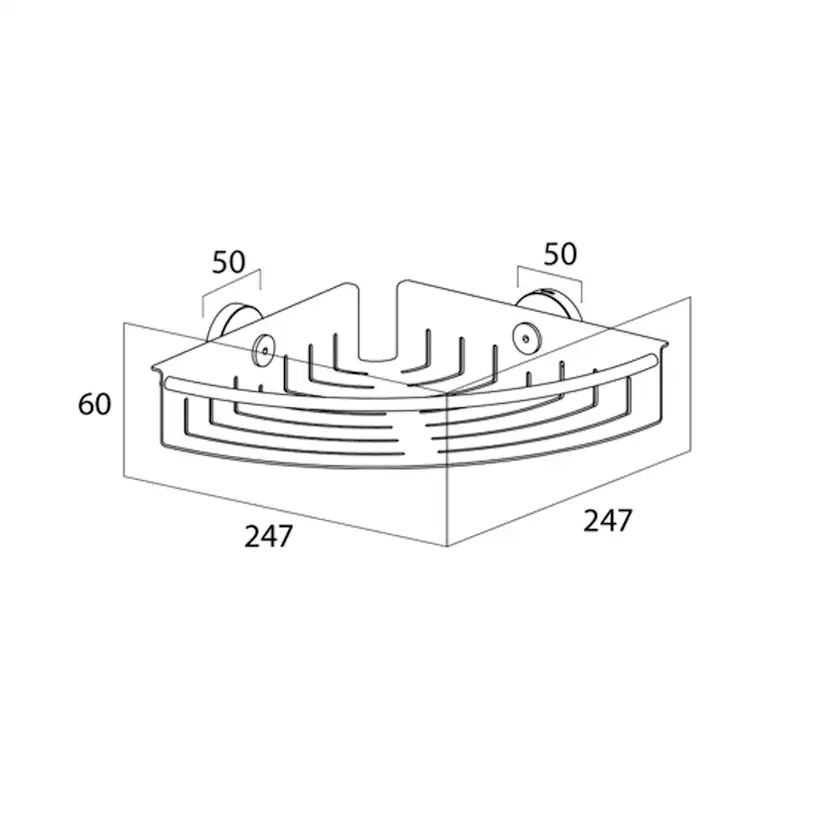 Duschylla Tiger Boston Hörn