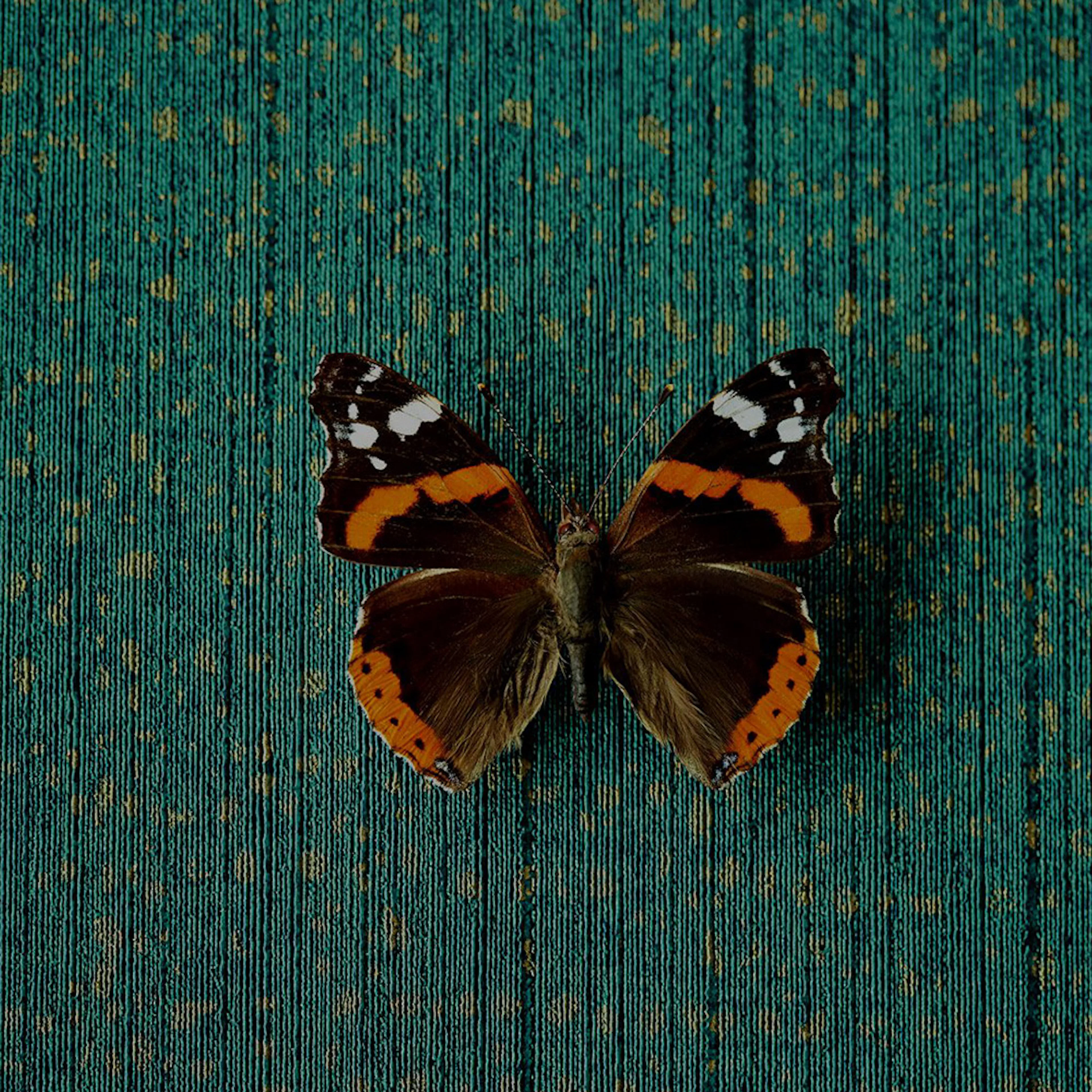 Tapet Eijffinger Museum 307351