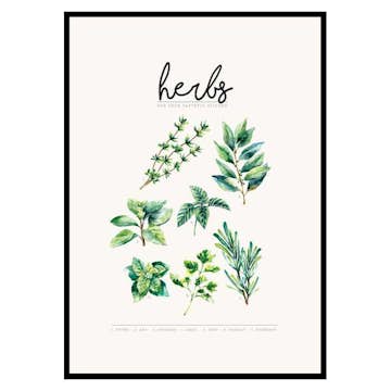 Poster Gallerix Herbs