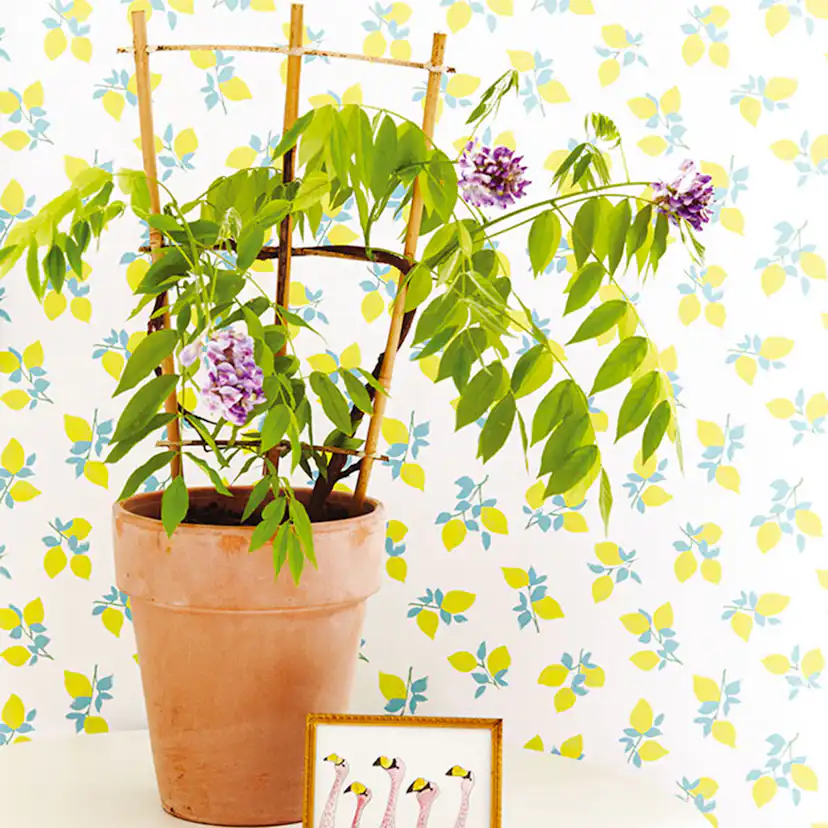 Tapet Eijffinger Rice 359164