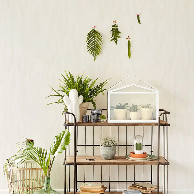 Tapet Eijffinger Geonature 366008