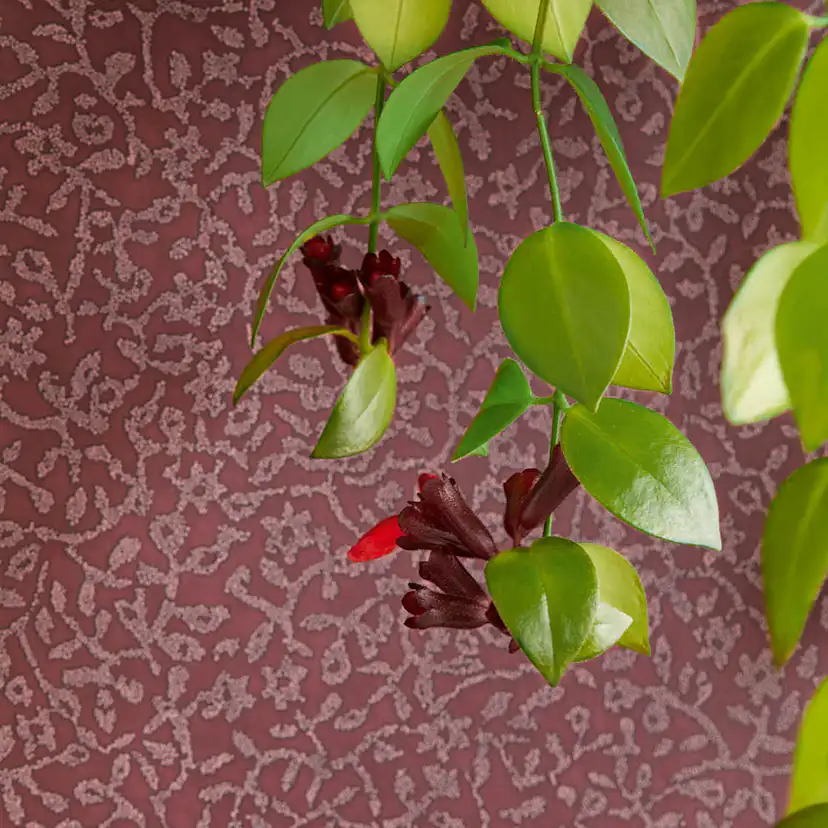 Tapet Eijffinger Carmen 392543