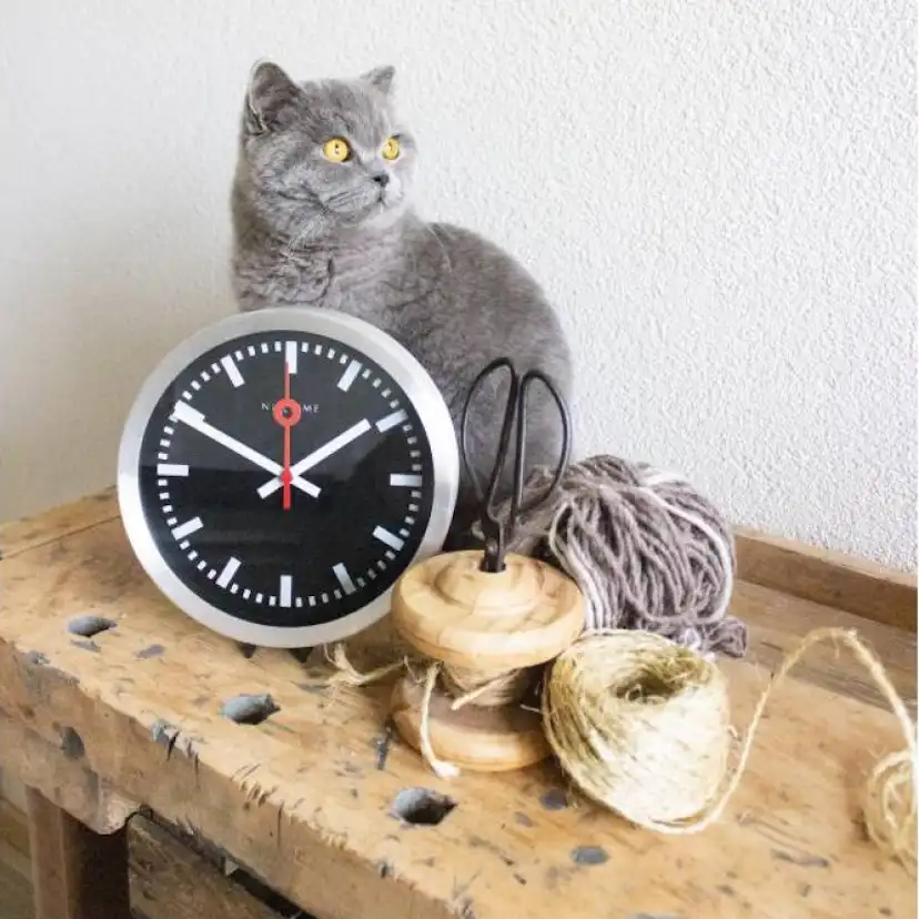 Vägg/Bordsklocka NeXtime Station