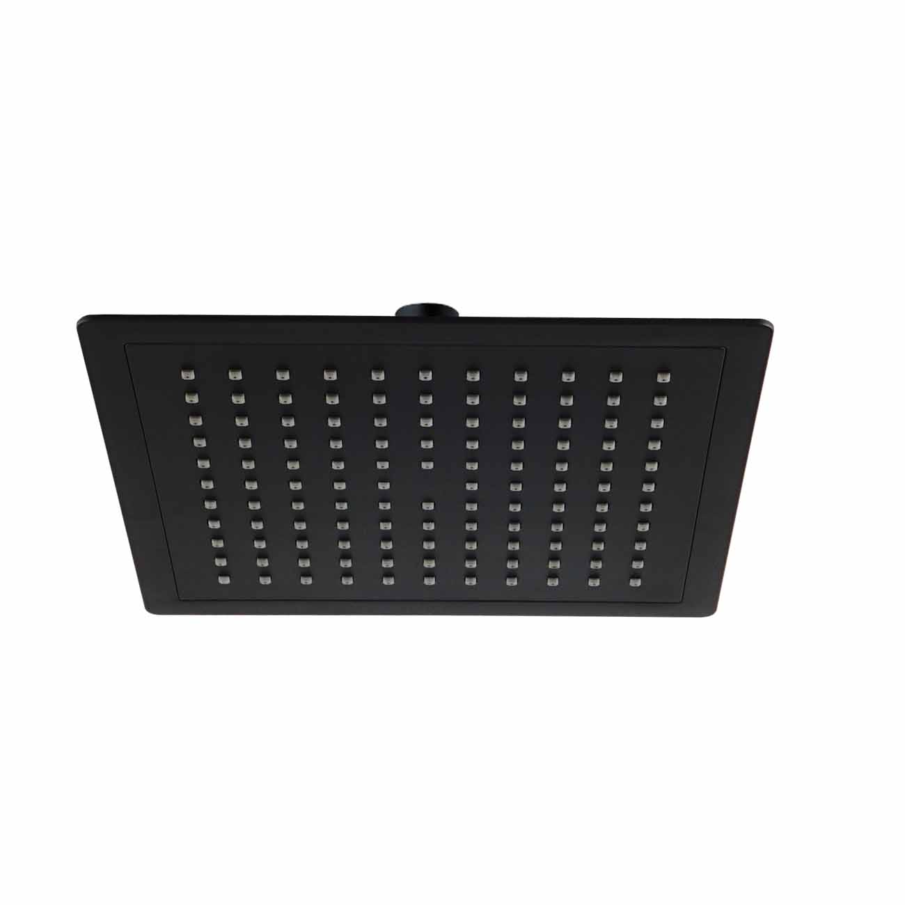 Taksil Bathlife Dagg