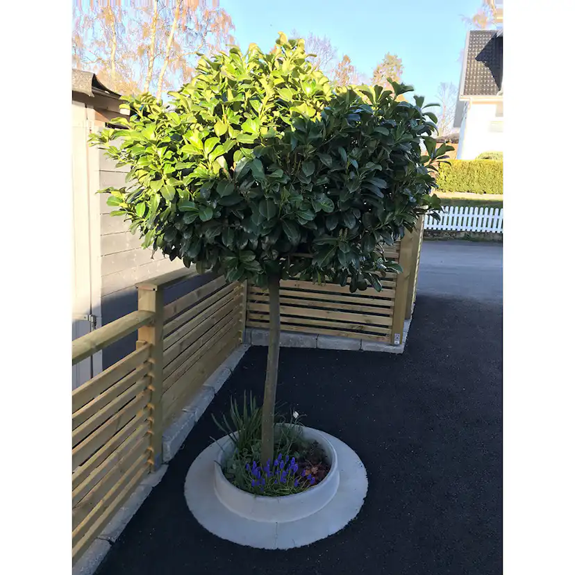 Planteringsring Design Björn Lidbrandt Domsand Betong 120 cm