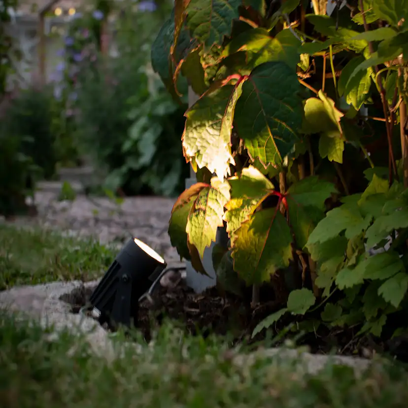 Spotlight Gelia Trädgårdsbelysning 3-Pack Set Inkl Trafo. 5M Kabel Djurö