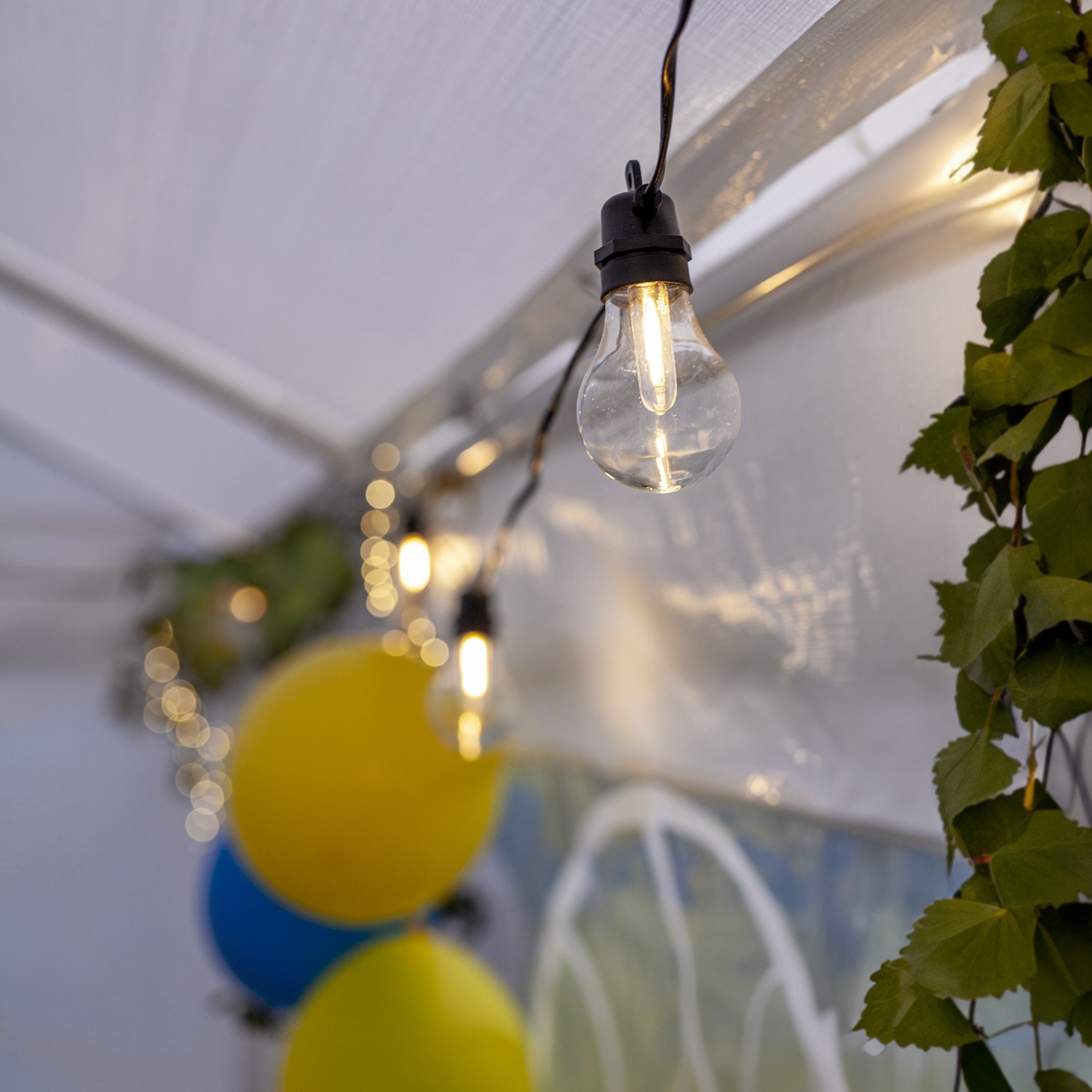 Ljusslinga Star Trading Selecta