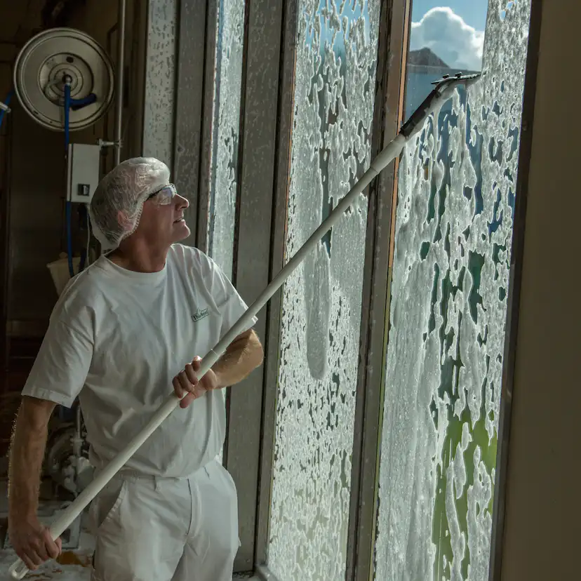 Fönsterskrapa Vikan m/Syntetiskt Gummi Grå