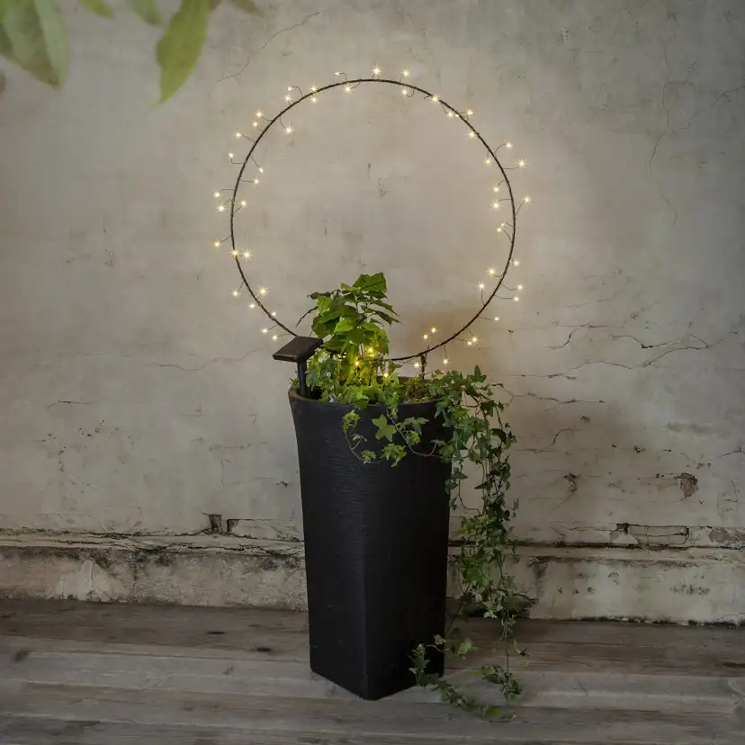 Solcellsdekoration Star Trading Barlumi 60 cm 60L