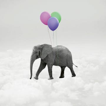 Tapet Idealdecor Elephant And Balloons