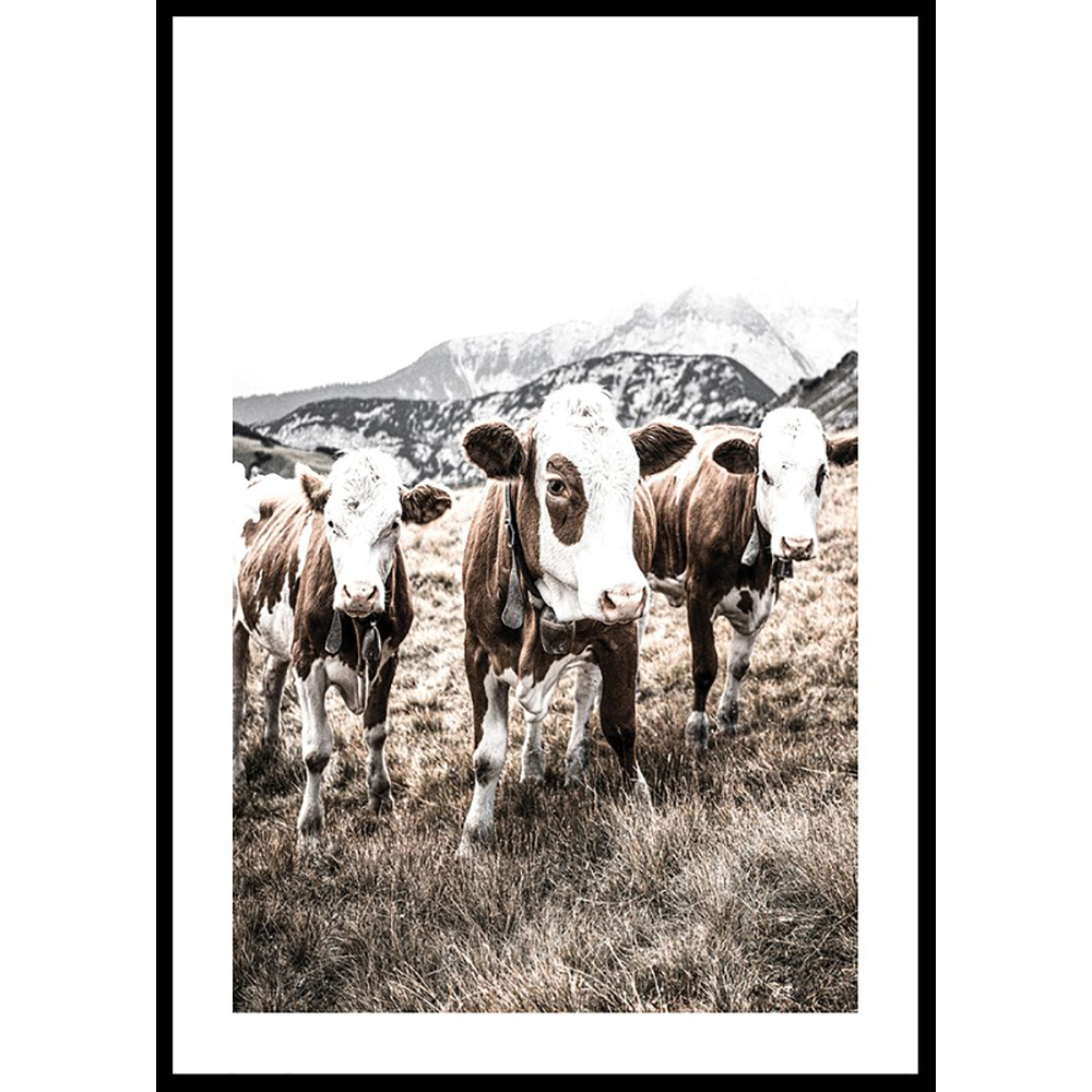 Poster Gallerix Cattle In Field