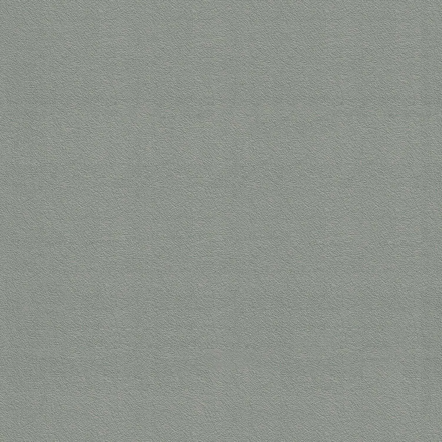 Tapet Wow Tetur Grön 5627331