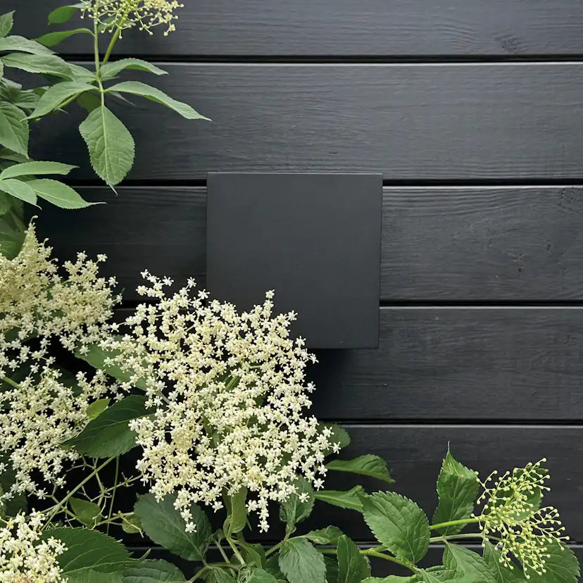 Fasadbelysning Dyberg Larsen Venus Large