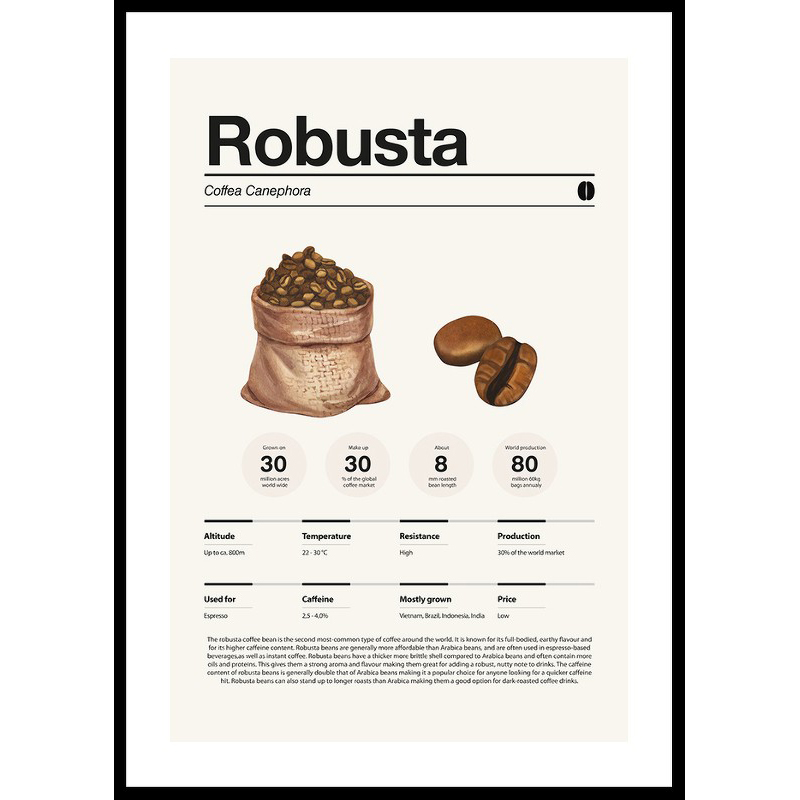 Poster Gallerix Robusta Coffee Beans