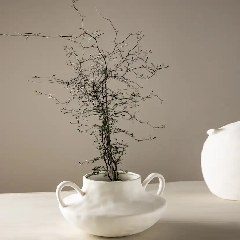 Kruka Venture Home Holda