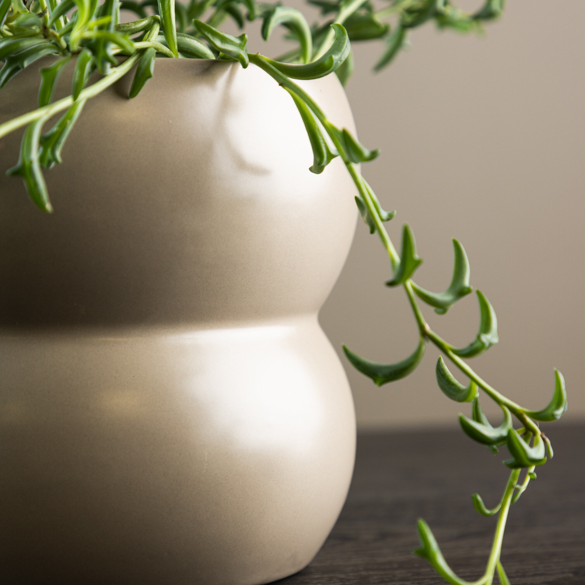 Kruka Venture Home Dapne