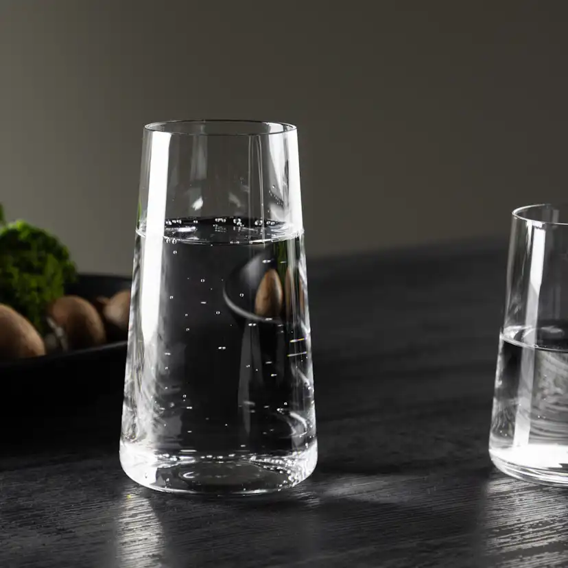 Dricksglas Venture Home Shine