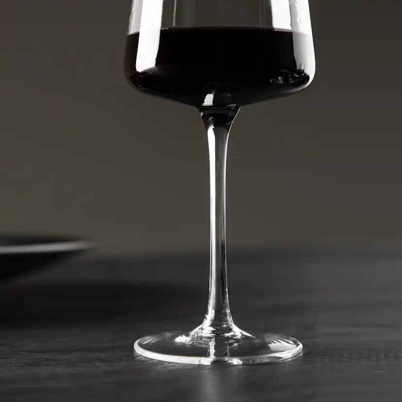 Vinglas Venture Home Shine