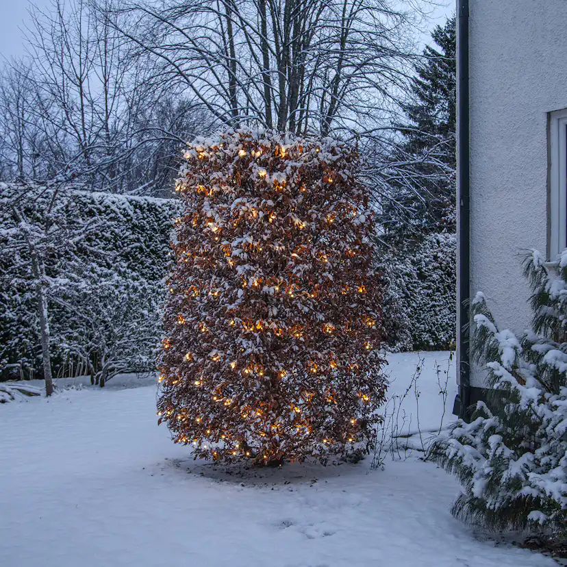 Ljusnät Star Trading Shiny Warm White