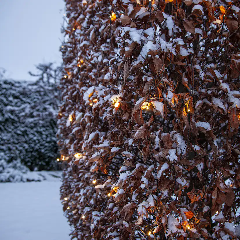 Ljusnät Star Trading Shiny Warm White