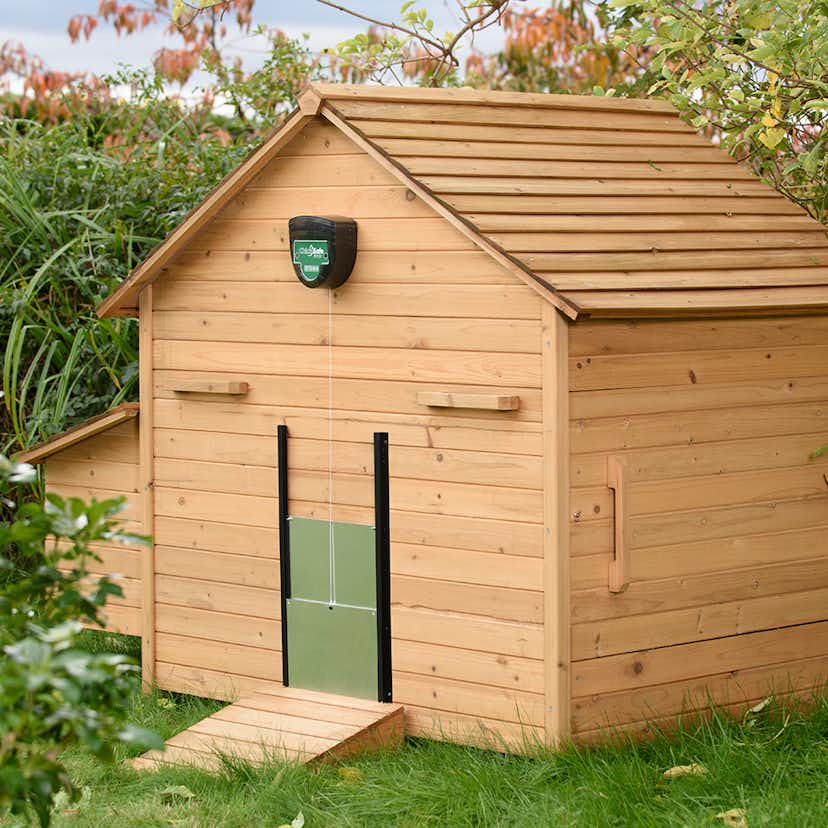 Lucköppnare Brinsea ChickSafe Eco Inkl. Dörr