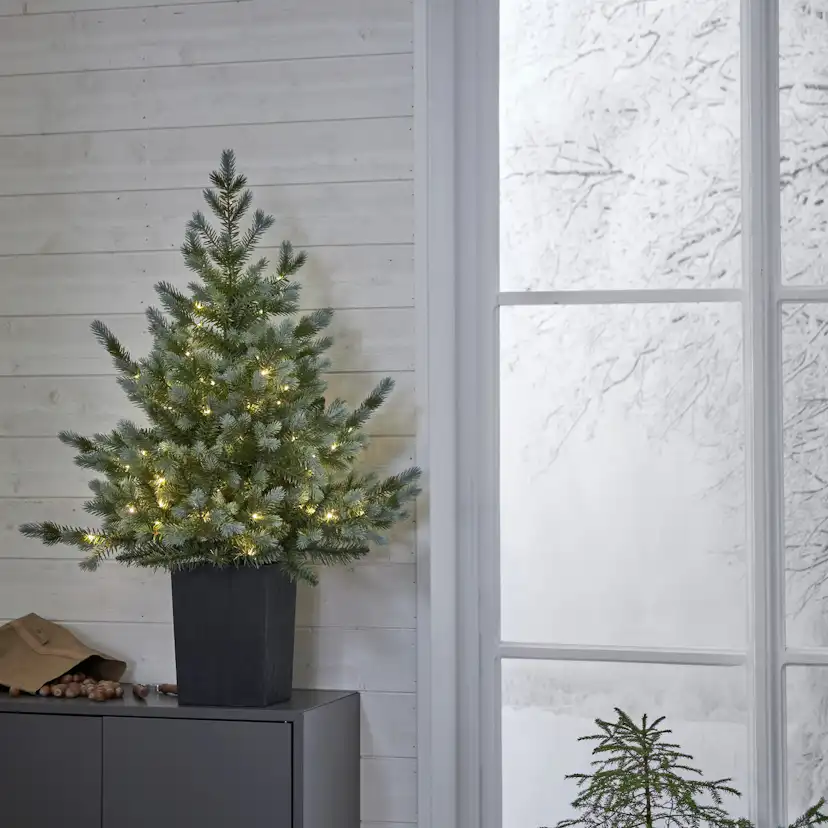 Bordsdekoration Star Trading GranGreyland95 cm 80Lb