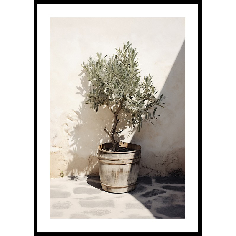 Poster Gallerix Olive Tree Mediterranean No2