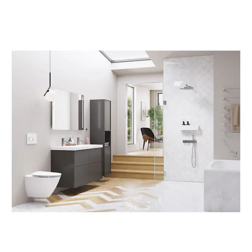 Vägghängd Toalettstol Ifö Spira Art 6245 Rimfree