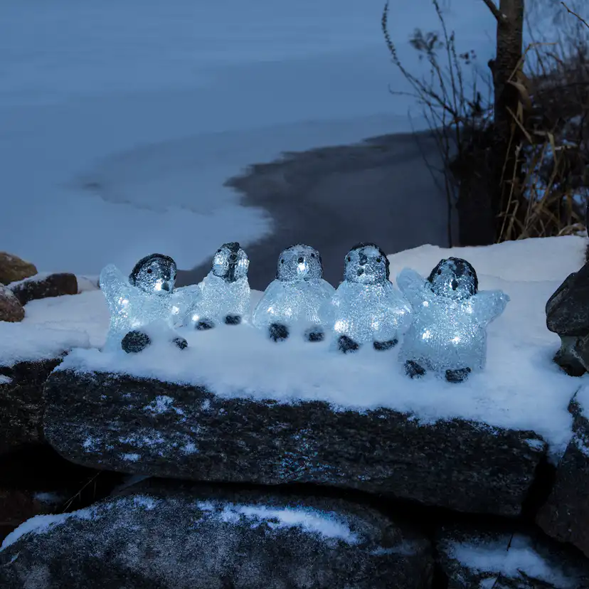 Dekorationsbelysning Gnosjö Konstsmide Pingvinungar 5 st