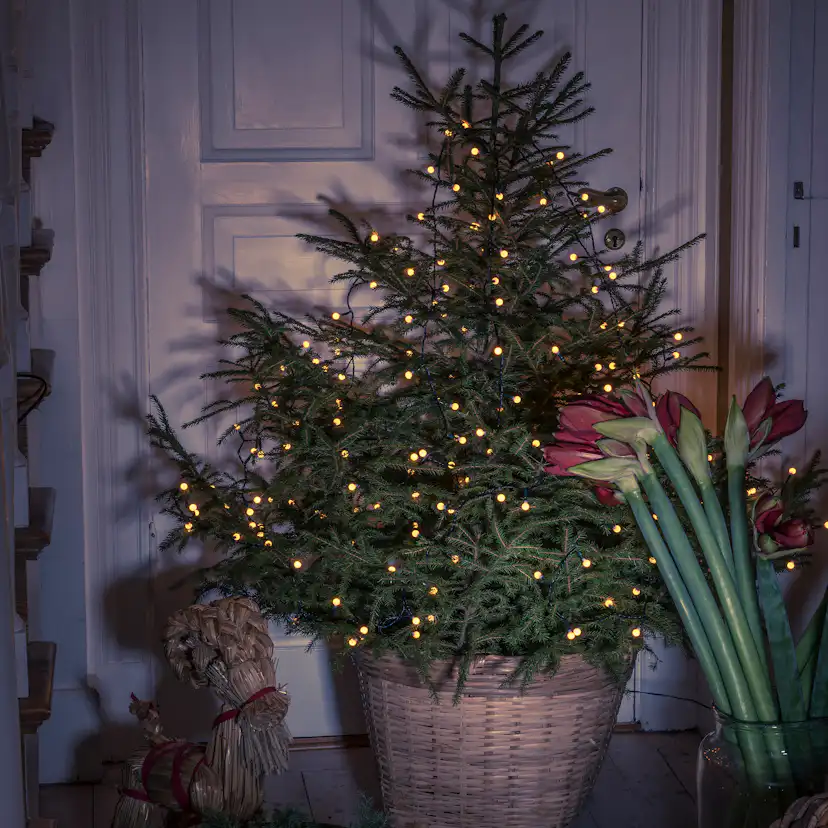 Julgransslinga Gnosjö Konstsmide Cherry LED Amber