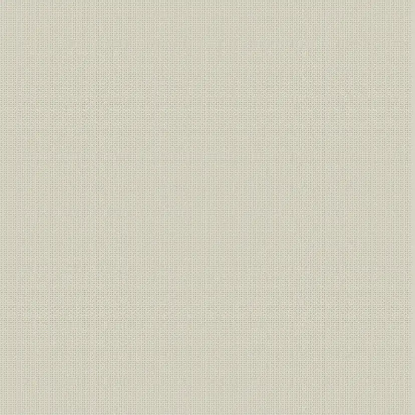 Tapet Coordonné Core 6600061