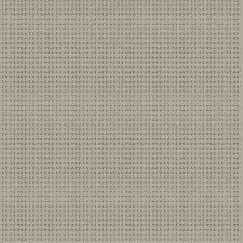 Tapet Coordonné Core 6600062