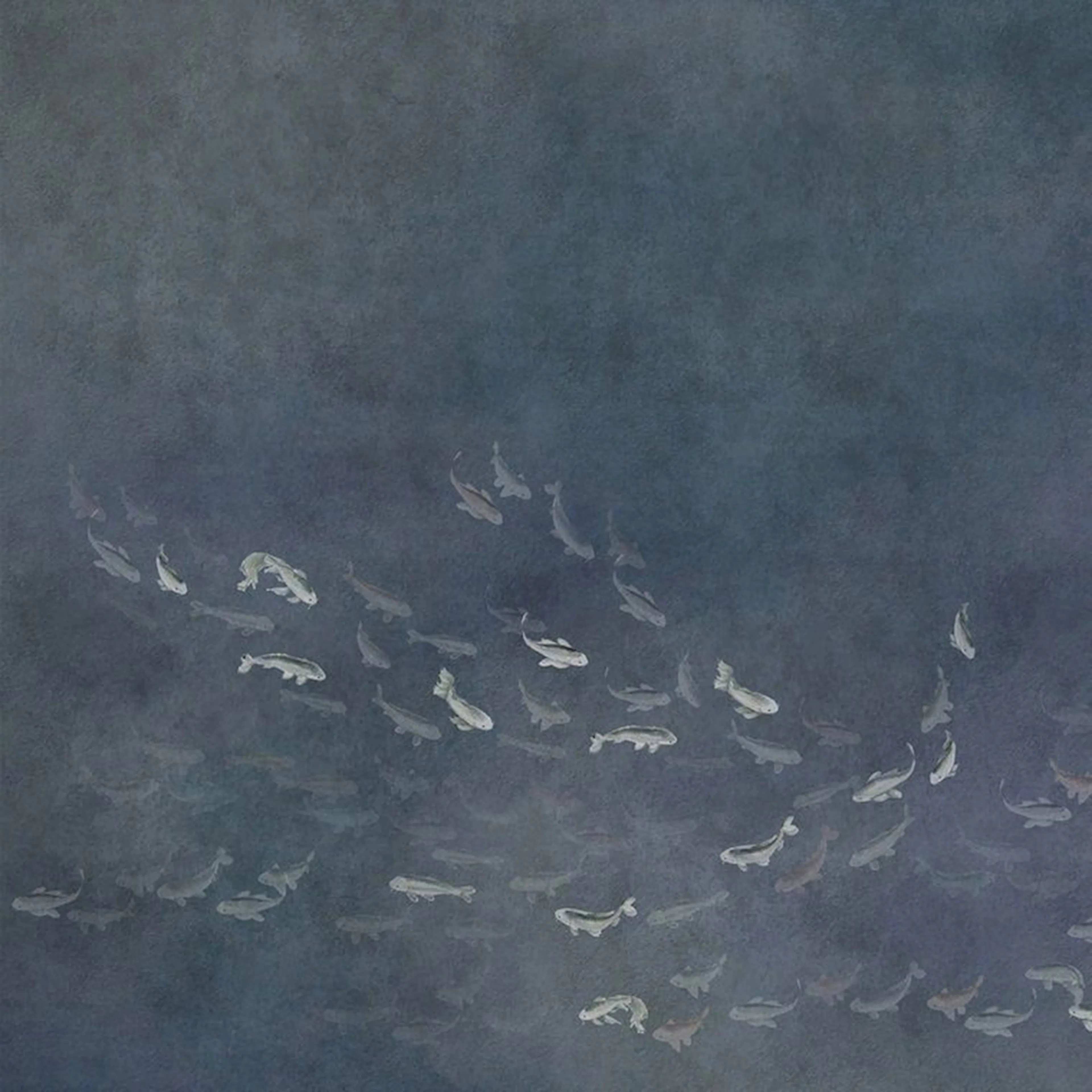 Tapet Coordonné Core 6600082