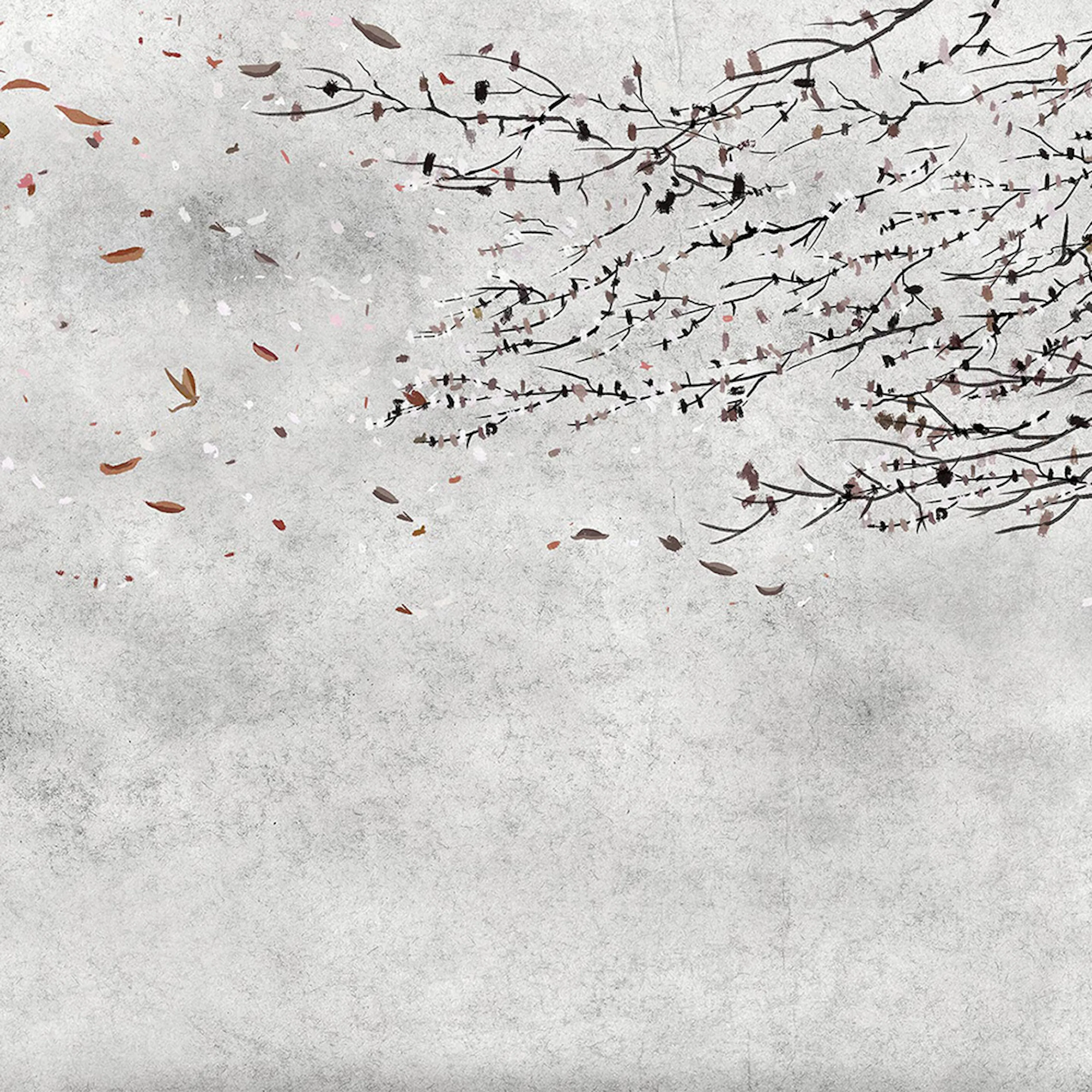 Tapet Coordonné Core 6600085