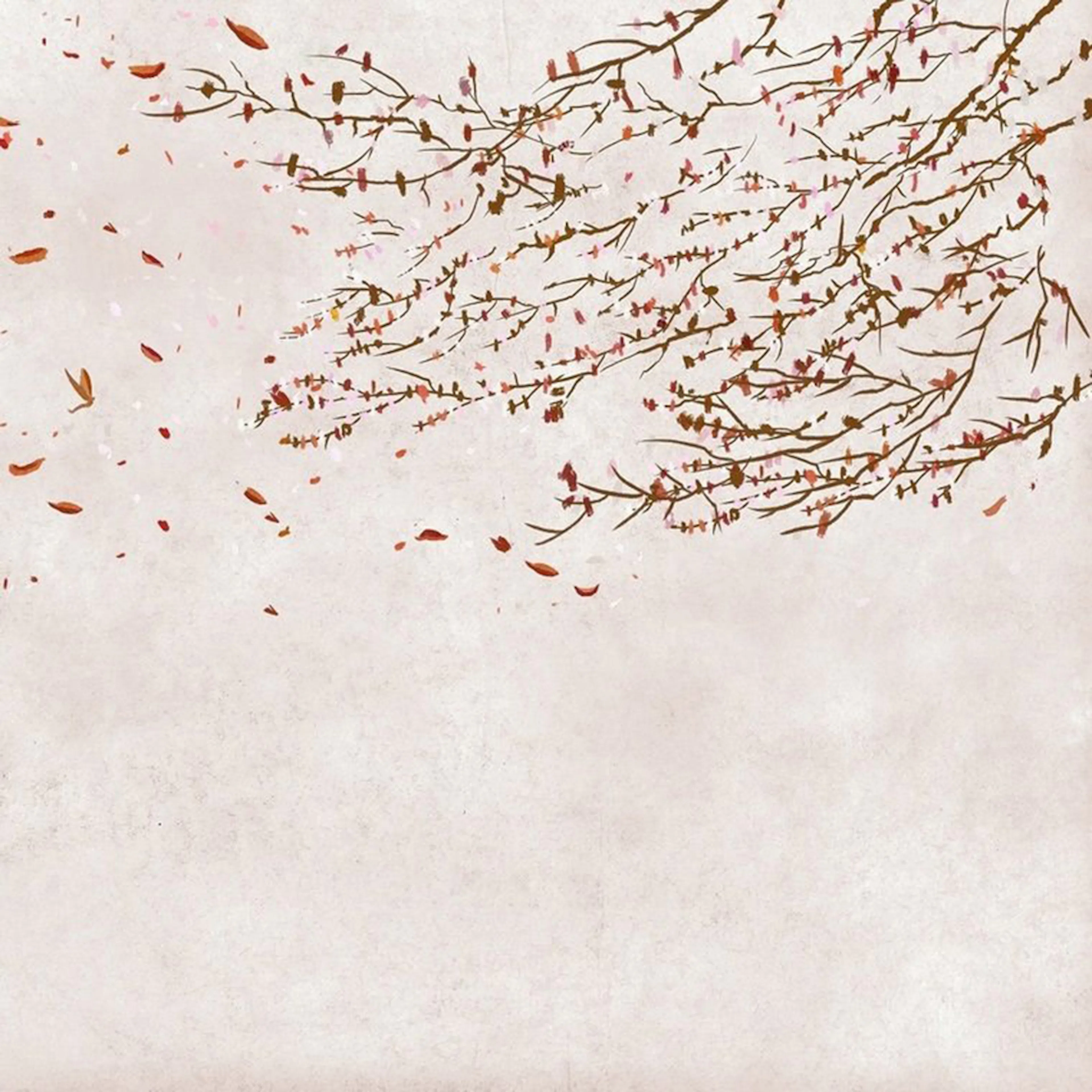 Tapet Coordonné Core 6600086