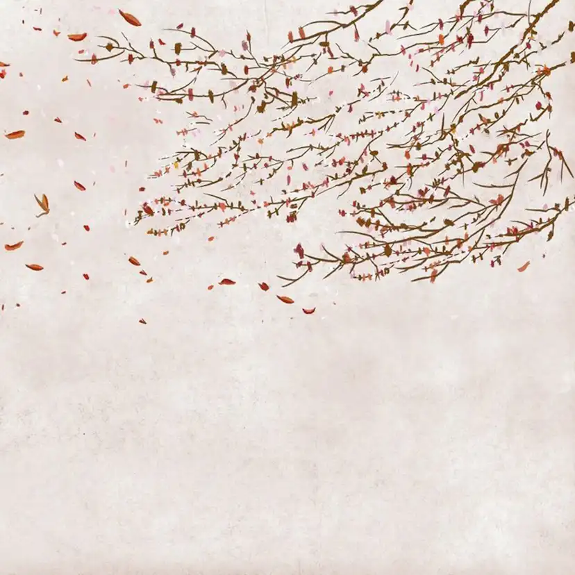 Tapet Coordonné Core 6600086