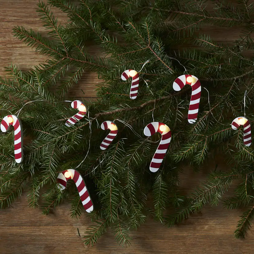 Ljusslinga Star Trading CandyCane