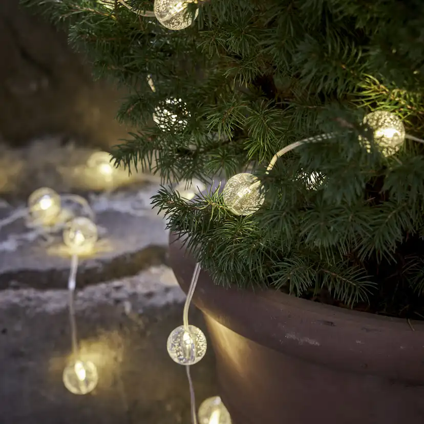 Ljusslinga Star Trading Berry