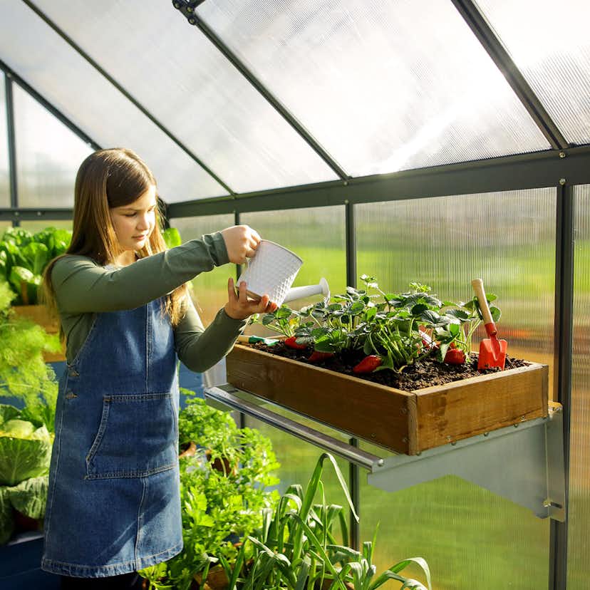 Växthus Canopia by Palram Mythos 4,6 m²