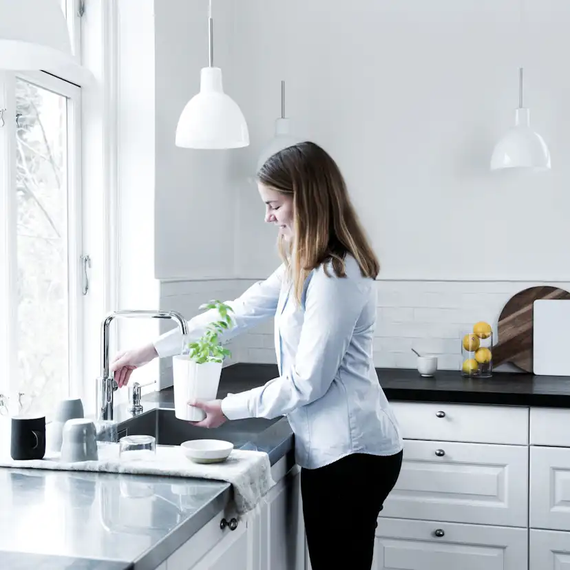 Köksblandare Damixa Silhouet