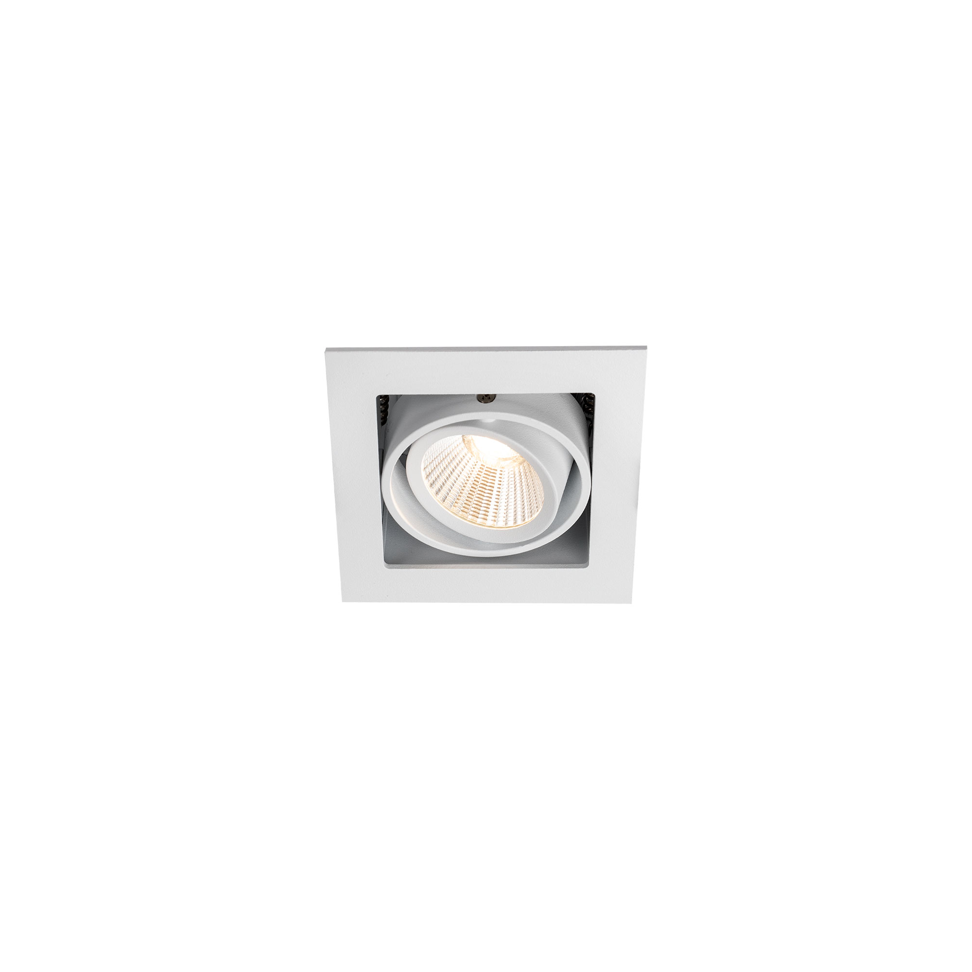 Downlight Hide-a-lite Optic Box I