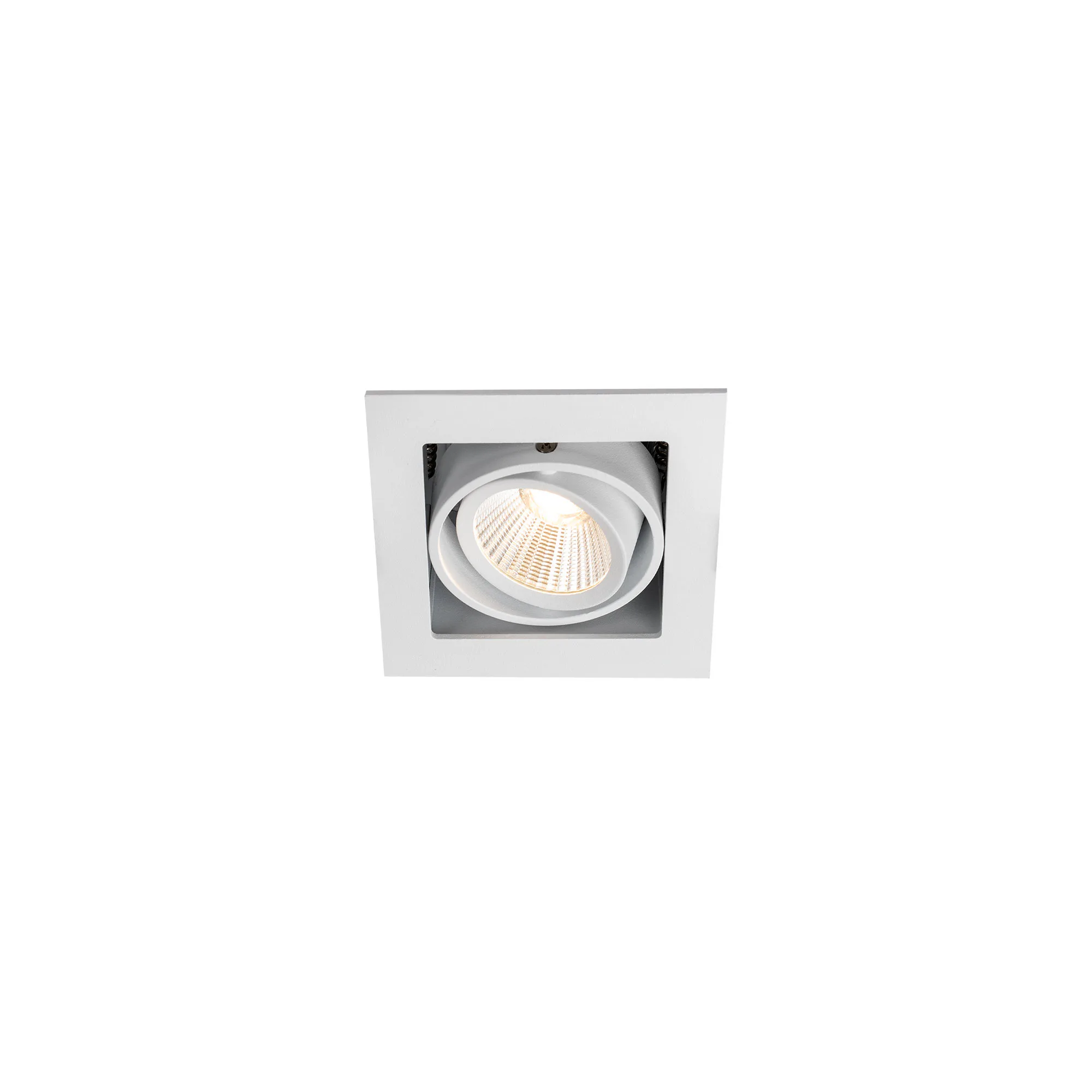 Downlight Hide-a-lite Optic Box I