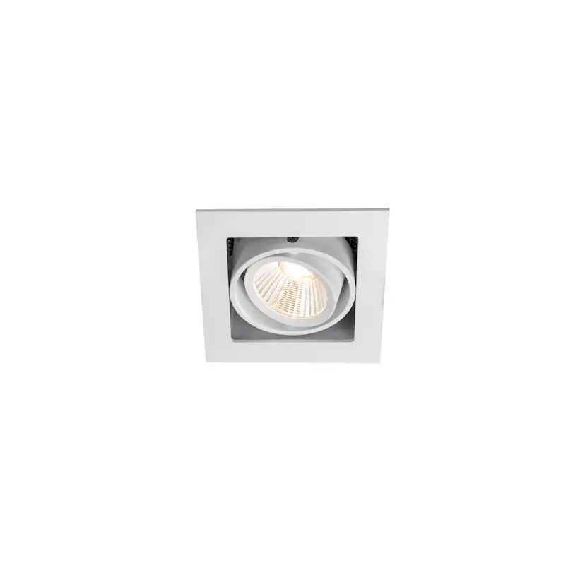 Downlight Hide-a-lite Optic Box I