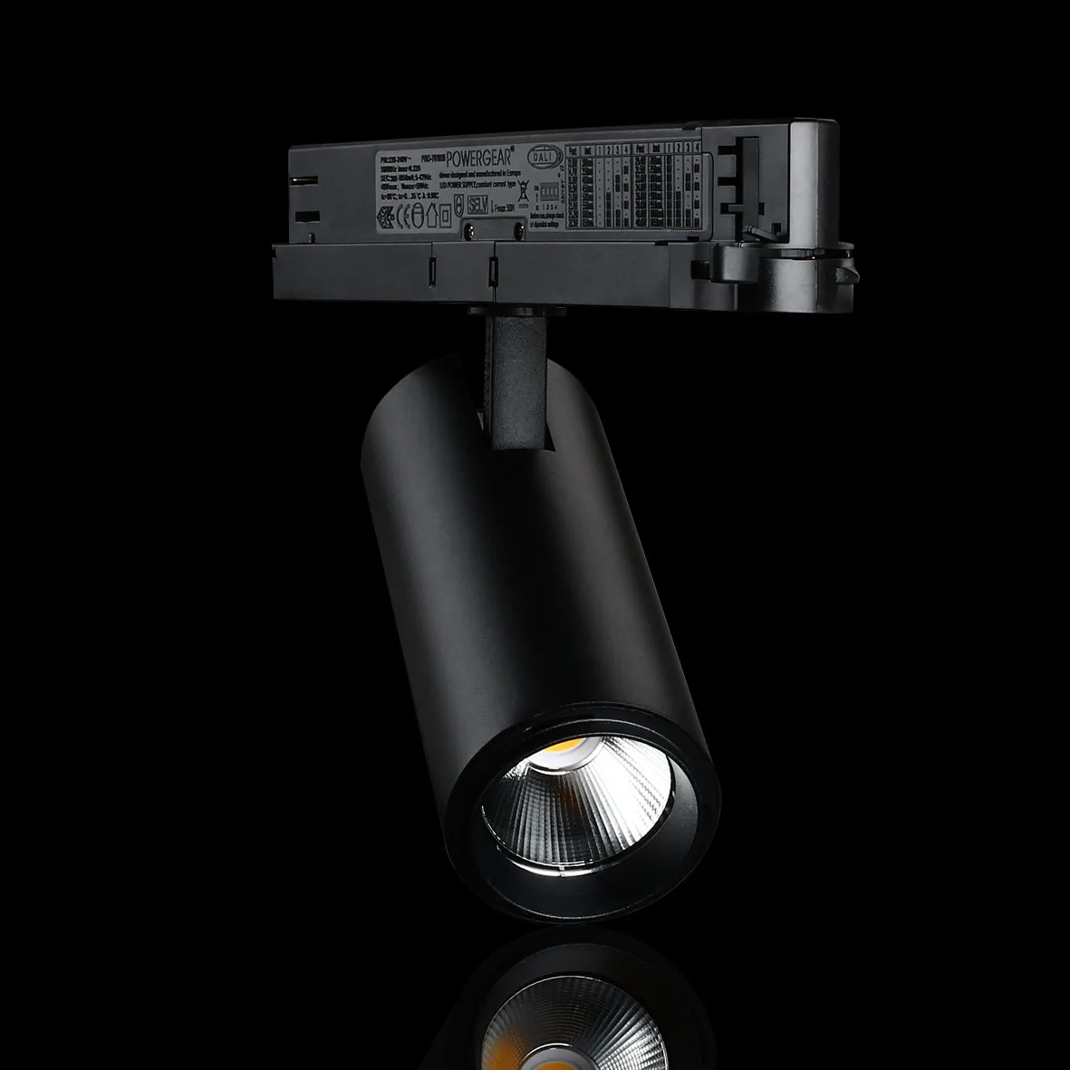 Spotlight Designlight Tracklight P Dali