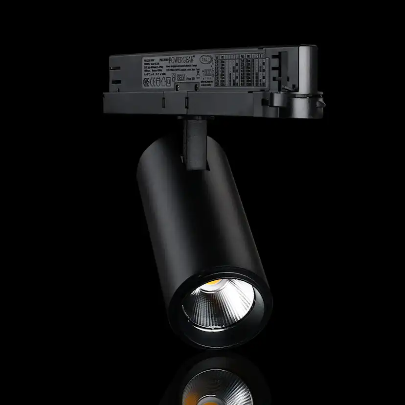 Spotlight Designlight Tracklight P Dali